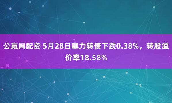 公赢网配资 5月28日塞力转债下跌0.38%，转股溢价率18.58%