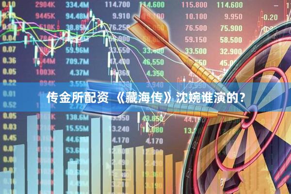 传金所配资 《藏海传》沈婉谁演的？