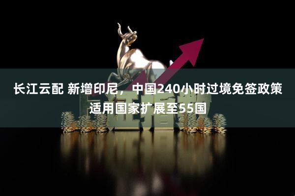 长江云配 新增印尼，中国240小时过境免签政策适用国家扩展至55国