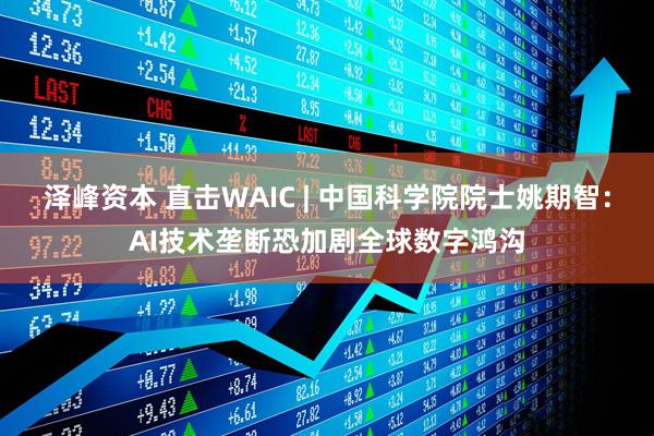 泽峰资本 直击WAIC | 中国科学院院士姚期智：AI技术垄断恐加剧全球数字鸿沟