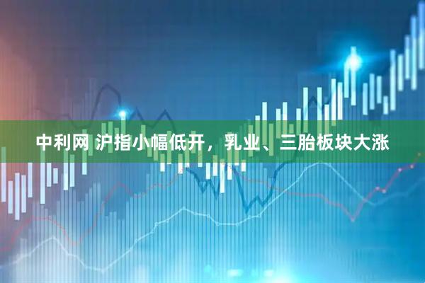 中利网 沪指小幅低开，乳业、三胎板块大涨