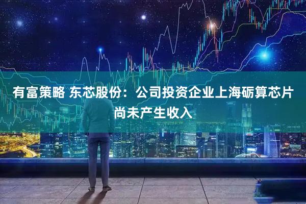 有富策略 东芯股份：公司投资企业上海砺算芯片尚未产生收入