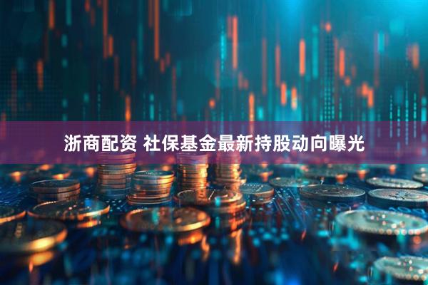 浙商配资 社保基金最新持股动向曝光