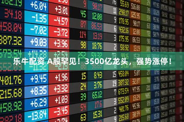 乐牛配资 A股罕见！3500亿龙头，强势涨停！