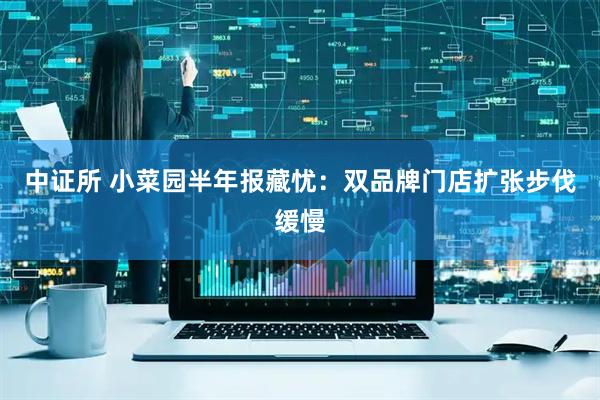 中证所 小菜园半年报藏忧：双品牌门店扩张步伐缓慢