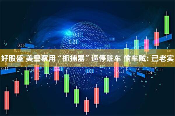 好股盛 美警察用“抓捕器”逼停赃车 偷车贼: 已老实